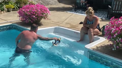 8 week old pug puppy learning how to swim.