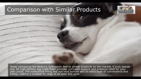 Best Bedsure Orthopedic Bed for Medium Dogs Review