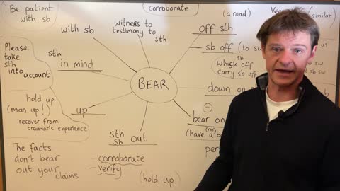 BEAR phrasal verbs