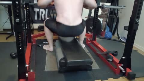 seated low row: back development