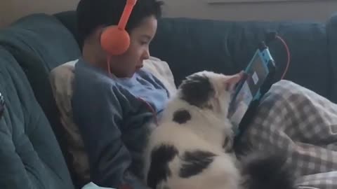 Cat and boy watches cartoon