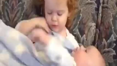 Cute toddler sibling looking after baby videos