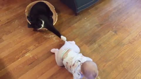 Funny video of a cat playing with the child