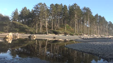 Olympic National Park Beaches, Washington, USA