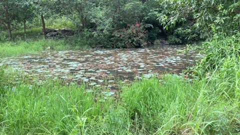 The Kunda at Dayalu Baba Ashram is Over Flowing