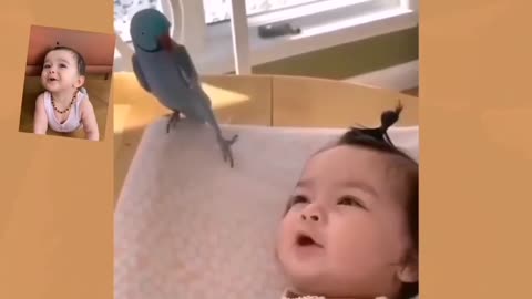Cute Baby and Parrot Fun