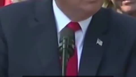 Donald Trump roast a reporter during an interview.