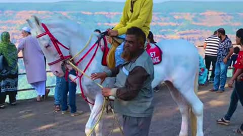 Horse Riding 🐎 - Sohaib Khanz #shorts