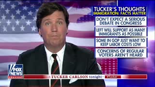 Tucker: Illegal immigration is literally costing US hundreds of millions