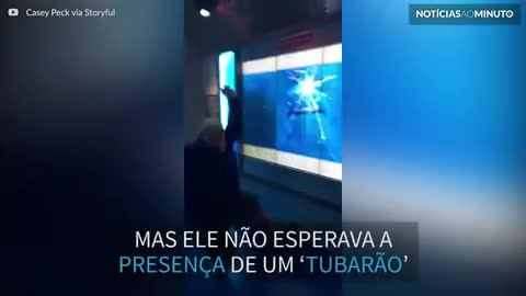 Homem leva susto com ‘tubarão’ em museu