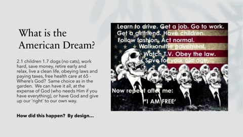 Medical Murder is the #1 Cause of Death in the U.S. – By Design! Part 6: How? The American Dream