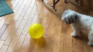 Marianne and the balloon