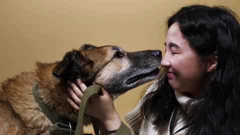 The owner's love for the dog | best Dog for nice moments