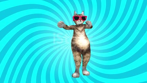 funny cat dance with sunglass