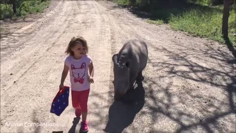 Child goes for a walk with baby rhinoceros