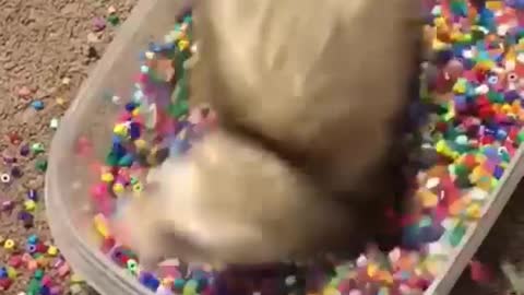 AESQUILO TAKING CANDY BATH