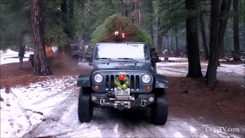 Eastern WA Off Road: Christmas Tree Snow Wheeling Trip