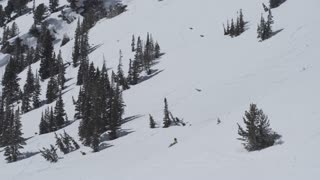 Backflip Ski Fail