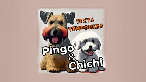 Pingo & Chichi