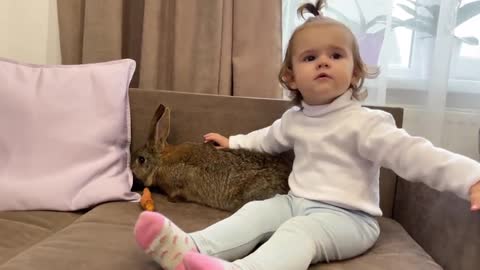 What_Does_a_Cute_Baby_do_when_a_Rabbit_doesn't_want_to_Eat_Carrots