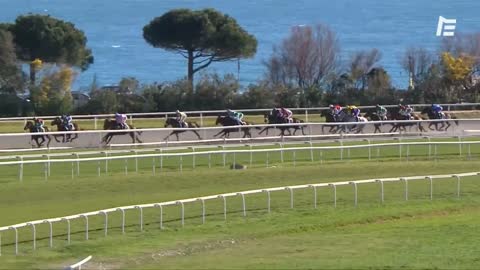 QUINTE+ Matandar - Prix de Marseille - Cagnes-sur-Mer - 26.01.21