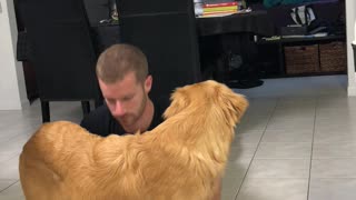 Playful Pooch is Not Interested in Doing Downward Dog