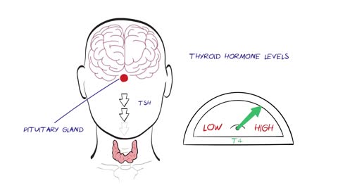 What is Thyroid Disease? Burn Your Fat Quickly Right Now!