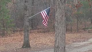 Arkansas Snow Flurries