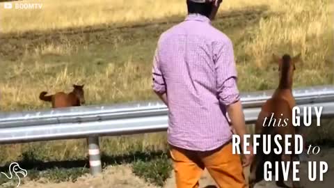 Mom Watches Helplessly As Her Foal Cries Out. Then A Strange Man Approaches