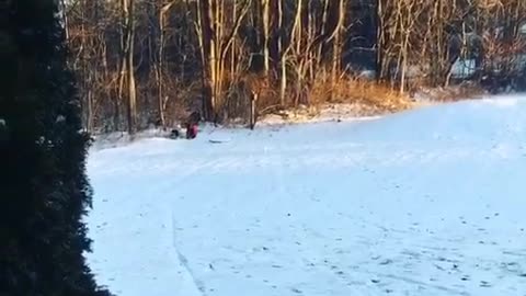 2 year olds first time sledding, and it’s amazing
