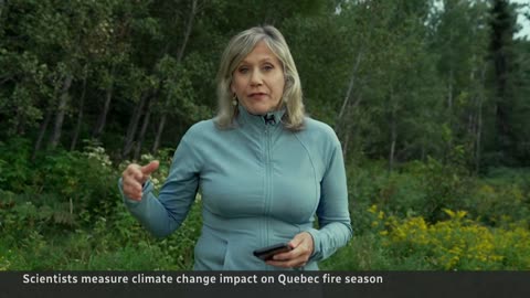 Climate change made Quebec wildfires twice as likely, scientists say