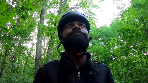 E-Bike Ride Through Alley Pond Park