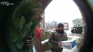 Squirrel Says Hello to UPS Delivery Driver