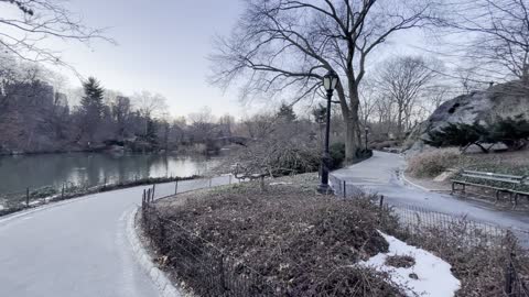 Central Park New York City - Park Avenue South 2