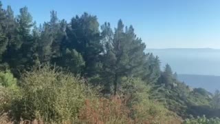 Hilltop views in Santa Barbara