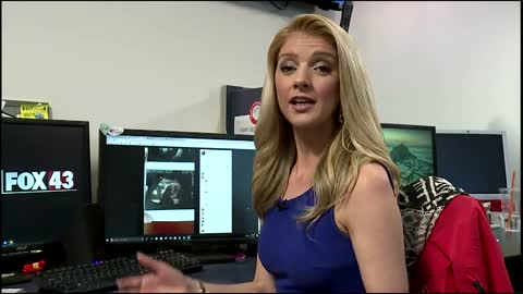 Couple Posts Sonogram Photo on Facebook to See If Others See What They See