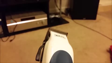 How to clean Wahl clippers