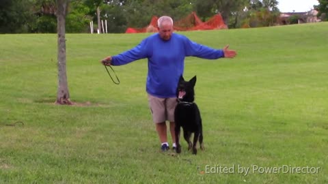 How To Get Your Dog To Bark On Command !!!