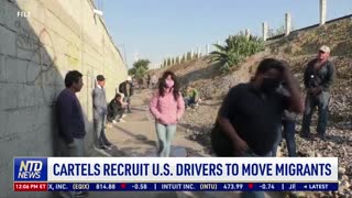 Cartels Recruit US Drivers to Move Migrants