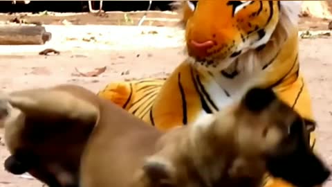 Dog vs Tiger toy. #4