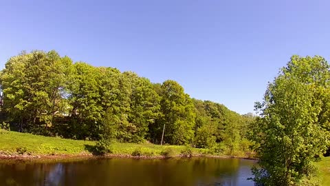 Breezy Spring Day with Birdies. 5/27/21 Maine