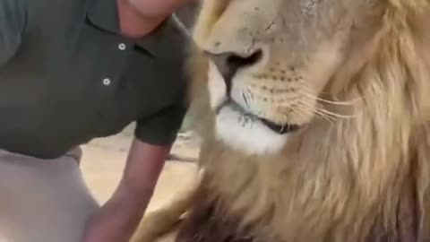 Man Tosses Treat At An Orangutan. What Happens Next Has Everyone In Disbelief