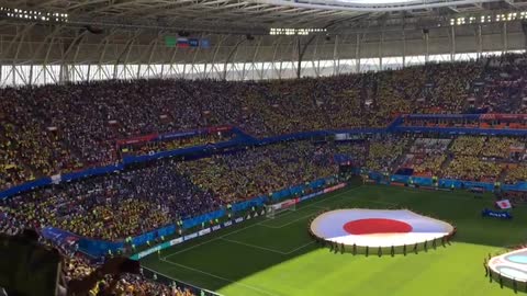 Hinchas de Colombia entonaron el Himno Nacional en Rusia