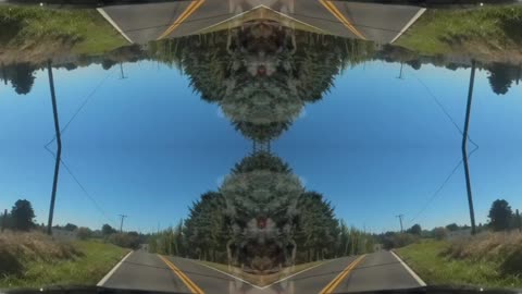 Driving through the country with mirror effect