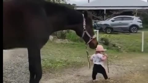 Kuda besar joki kecil, tarik tarikan