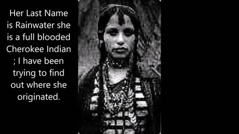 The Origins of the Cherokee Indian