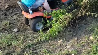 Mowing Down a Tree With a Lawnmower