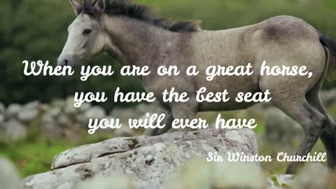 Beautiful Horse Quotes To Inspire You to Take a Ride