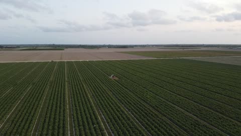 DJI Mavic Mini flight over fields during 2020 quarantine
