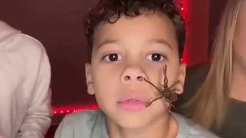 Spider filter prank gone wrong..